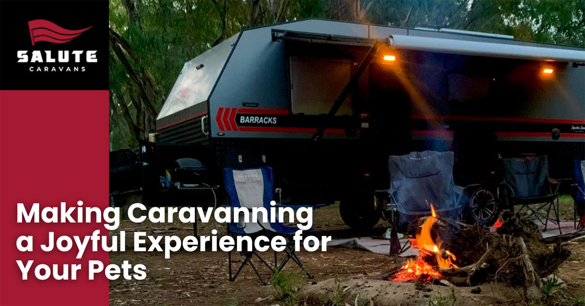 Making Caravanning a Joyful Experience for Your Pets